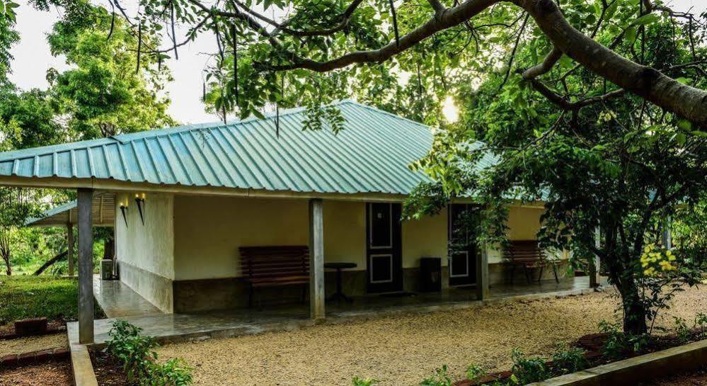 Chalet Rangiri Dambulla